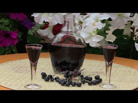 Chokeberry tincture