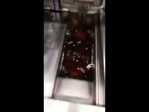 download lagu mp3 mp4 Split Vat Fryer, download lagu Split Vat Fryer gratis, unduh video klip Split Vat Fryer