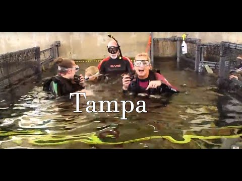 Family Travel with Colleen Kelly -Tampa, Florida
