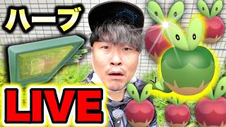 【ロケット団占拠直前】色違いカジッチュ欲しいのでハーブルアー炊く生配信【ポケモンGO】