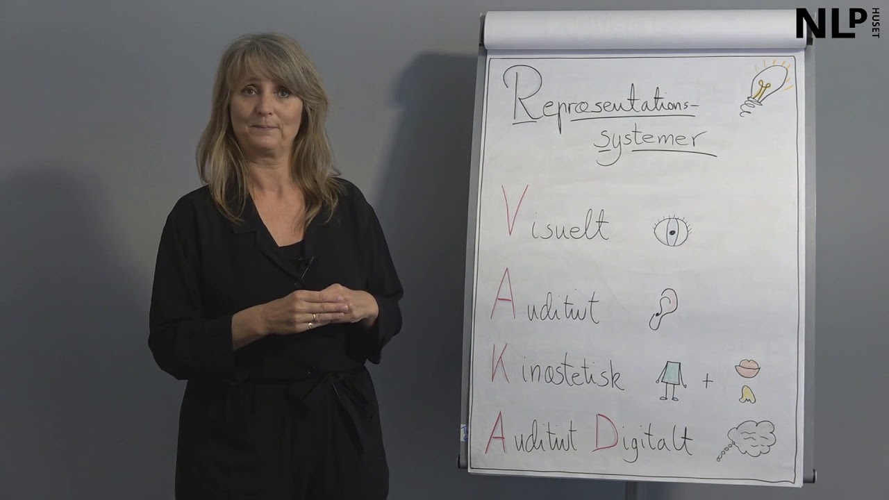 Repræsentationssystemer