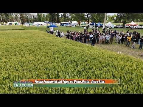 Fiesta Provincial del Trigo en Valle María - Entre Ríos - Manuel Pautasso