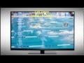 Dish Network New Rochelle NY 914 228 1697 Satellite TV