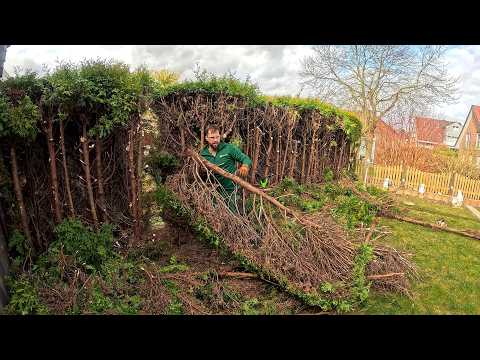 Can You do it YESTERDAY? Owner REMEBERED About the Hedge on the LAST DAY