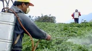 Patentino per l'uso di fitofarmaci in agricoltura