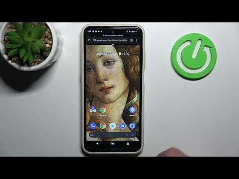 Cómo abrir dos aplicaciones en la pantalla en NOKIA X20