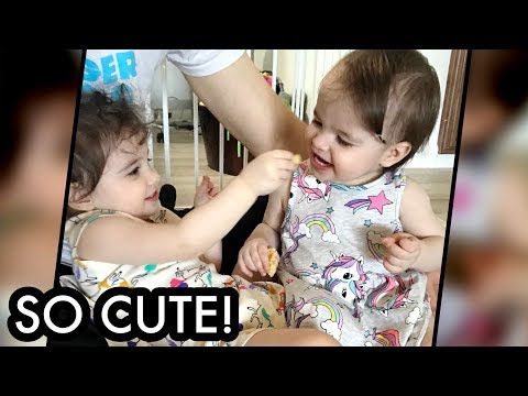 Baby Sisters Feeding Each Other! /// McHusbands