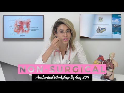 How to Reverse Dermal Fillers | Anatomical Dissection Training 2019