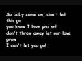 Can't Let You Go Lyrics 