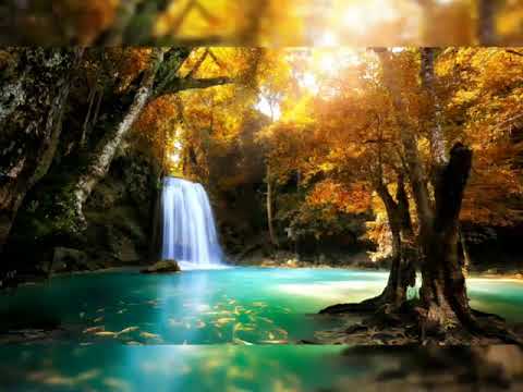 Medley: Alimo/Sangalala/Bonse Balamukabila- One praise