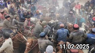 🐫 Нор Туя 💵 500 минг,  Шахрисабздан #Шагзод палвон  Окчавадан Шодихонди #Рембо