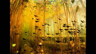 Snatam Kaur - By Thy Grace - Under the Pond