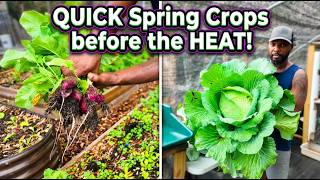 Plant These Quick Crops Before the Heat Hits! (Florida Garden Tip)