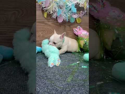 Video 5