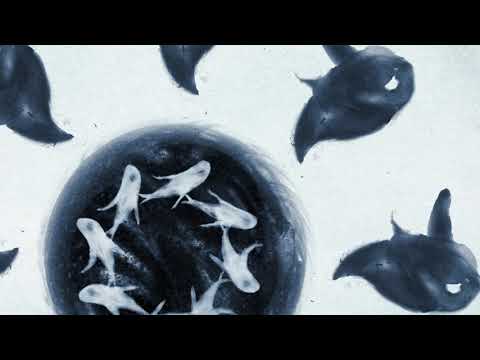 Odpoczno - Srebro ryb