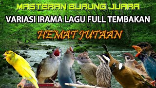 Download lagu #5 LIVE MASTERAN BURUNG VARIASI IRAMA LAGU FULL TEMBAKAN KASAR mp3