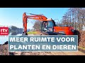 Natuurvriendelijke oevers: 'Wij maken hier een mooi paradijs voor de vissen' | ROEG! | RTV Drenthe