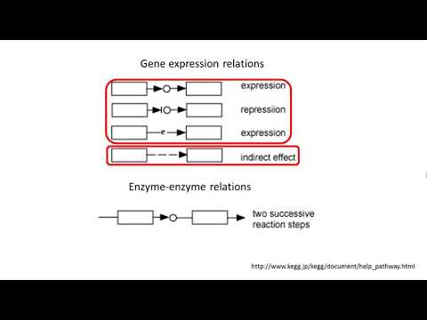 Week 10.1.2 KEGG Pathway Database (Ontology, Gene Ontology and KEGG Pathway Database)