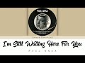 (Lyrics) I'm Still Waiting Here For You - Paul Anka
