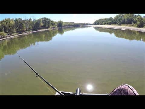 Фото ALL DAY river fishing!!! ( The bite turned on BIG TIME)