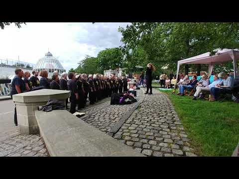 Dreams Norwich Rock Choir