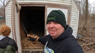 The FRIGHTENING DISCOVERY Hidden in the Backyard Shed!