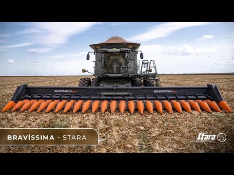 Plataforma Stara | Bravíssima