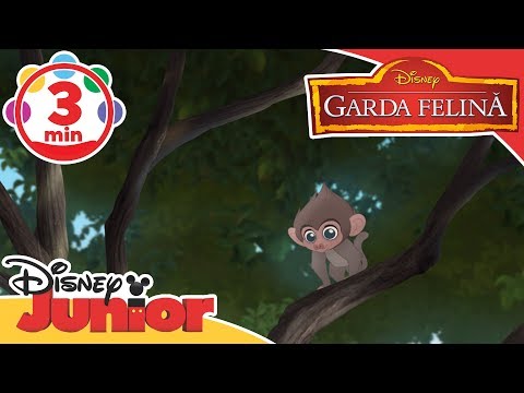 Garda Felină | Îngrijind puiul de babuin