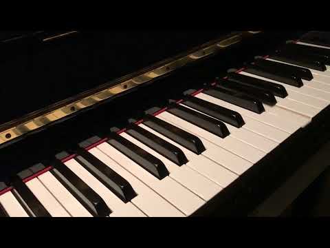 The Spirit Of Jerry Lee Lewis - played by Stefan Ulbricht