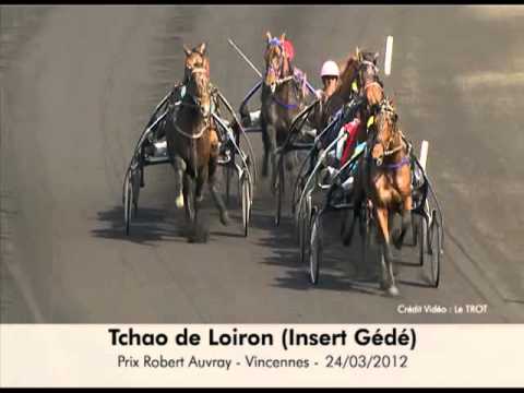 Insert Gédé   Prix Robert Auvray   Vincennes