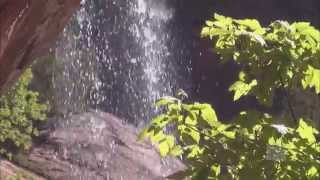 Jesu, Joy of Man's Desiring (Organ solo) - Mormon Tabernacle Choir