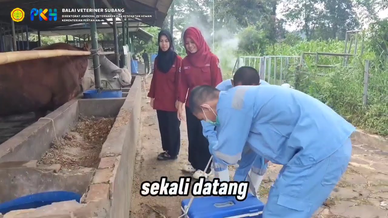 Jemput Sampel Oleh BV Subang