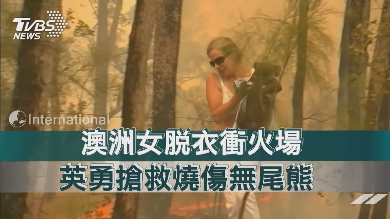 澳洲女脫衣衝火場 英勇搶救燒傷無尾熊