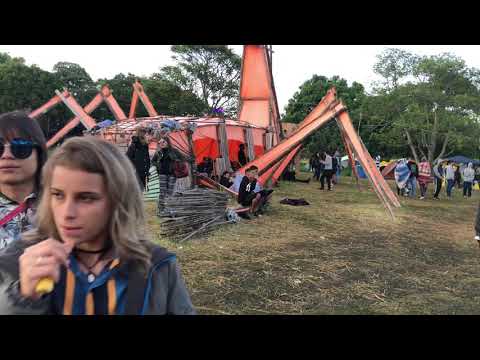 Árvore da Vida 2019 - Amanhecer com AJJA