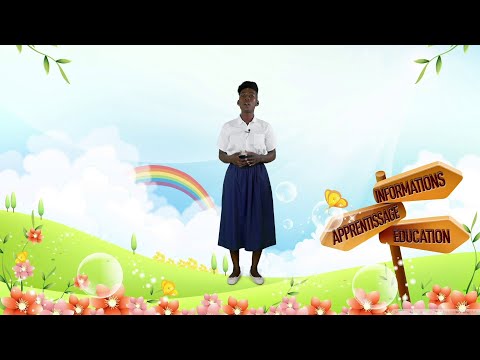 Le respect des règles et des lois