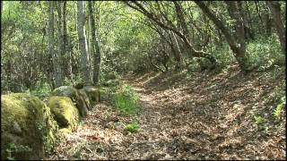 Audiovisual " Sobradillo" (Parte 1/2)