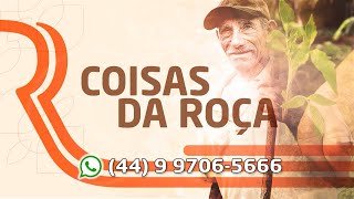 Miniatura do vídeo