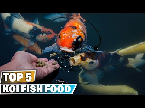 Best Koi Fish Food in 2025 (Top 5 Picks)