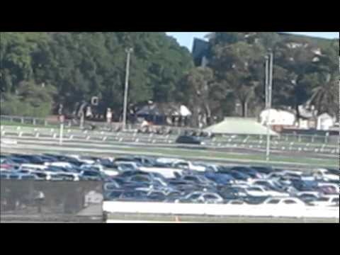 Black Caviar - Winner - TJ Smith Stakes - April 09
