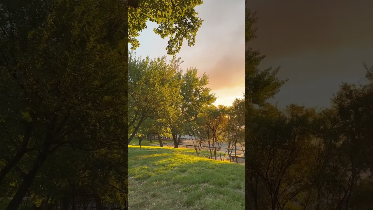 YouTube Short thumbnail