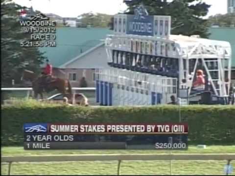 2012 Summer Stakes