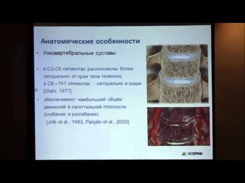 Что делать если сильная боль в плечевых суставах Болит поясница на позвонке
