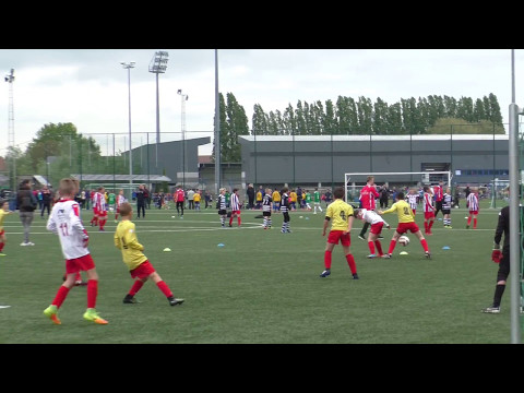 Kwalificatietornooi FCV Dender EH 2017