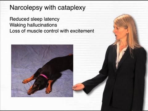 Deficient neuropeptide signaling - Cori Bargmann (Rockefeller/HHMI)