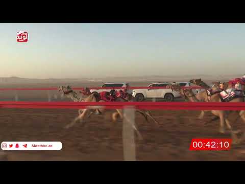  ش 7 (سياف) لـ غصاب عبدالله مصبح العامري 2:08 , شارة الصندوق 2026/06/06 فطامين الروضة   