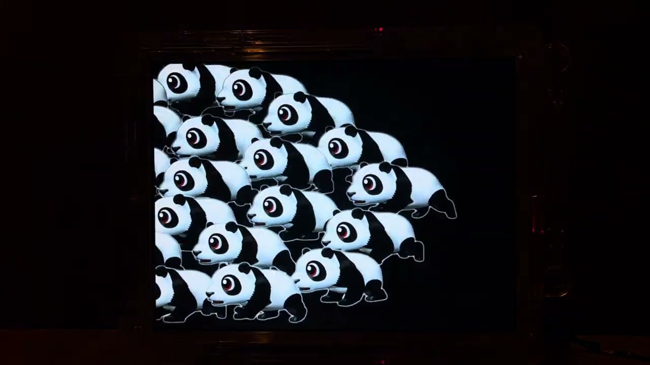 Youtube 新野生の王国