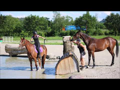 Film vom Geländetraining Avenches 13 6 2019