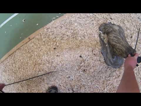 Afribow: Bericht - Arena365 - Deutsch