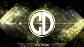 Survey - Both Sides