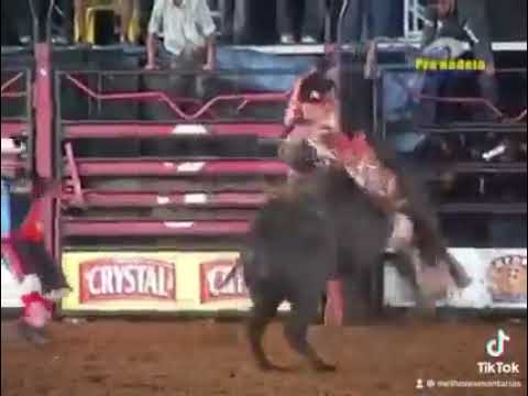 Romildo Monteiro Félix x Tribunal